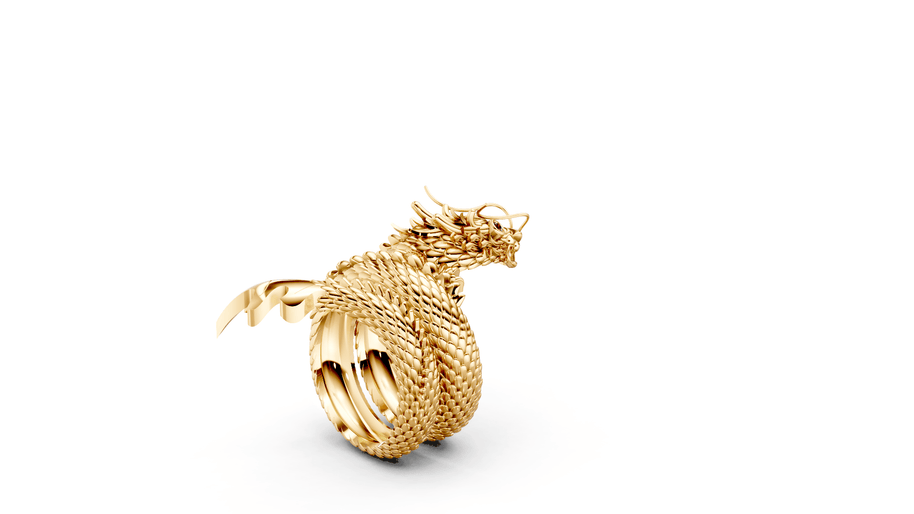 Tarragon - 10K Yellow/White Gold - Pocket Rock Jewelry