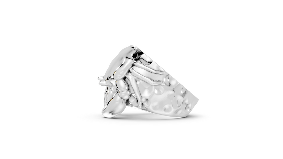 Aloof Crab - Sterling - Pocket Rock Jewelry