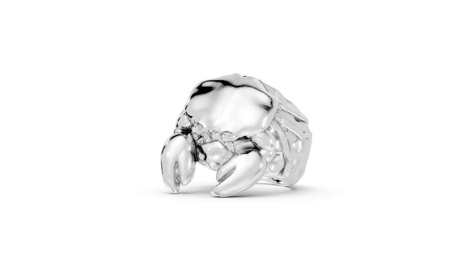 Aloof Crab - Sterling - Pocket Rock Jewelry