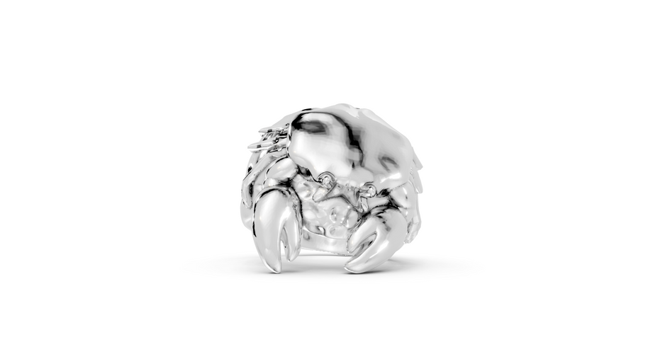 Aloof Crab - Sterling - Pocket Rock Jewelry