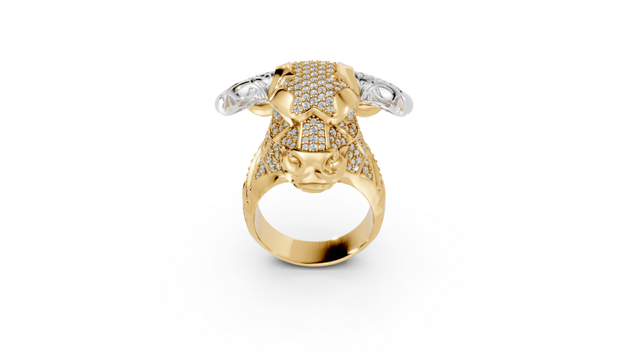 Olé - 10K Yellow/White Gold - Pocket Rock Jewelry