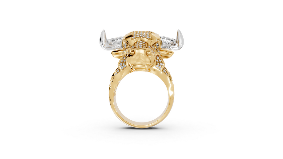 Olé - 10K Yellow/White Gold - Pocket Rock Jewelry