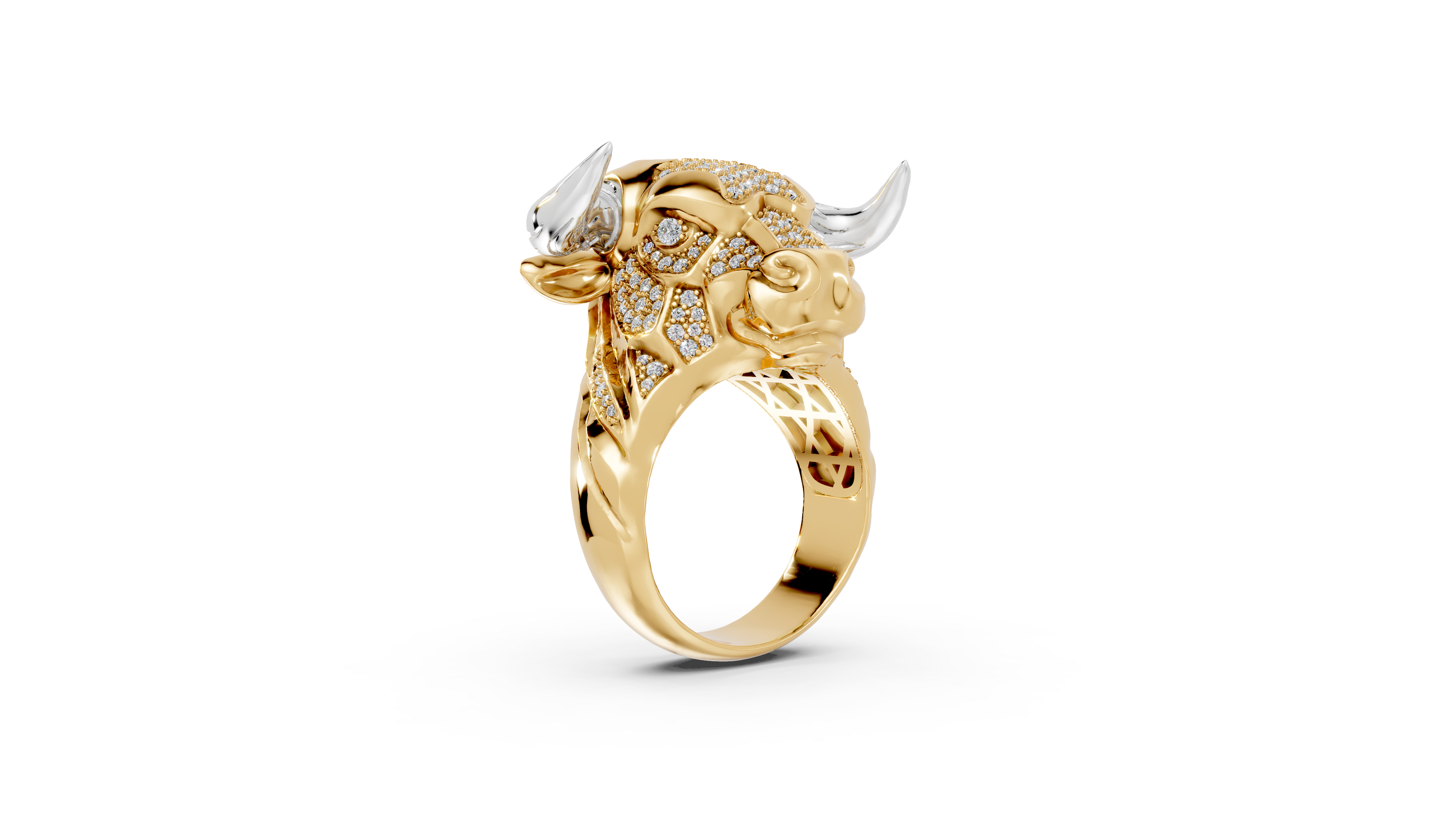 Olé - 10K Yellow/White Gold - Pocket Rock Jewelry