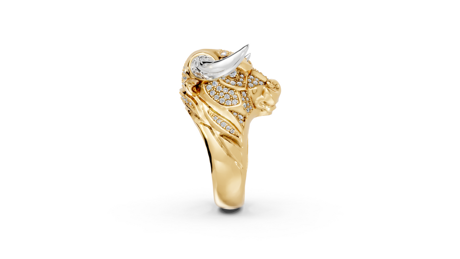 Olé - 10K Yellow/White Gold - Pocket Rock Jewelry