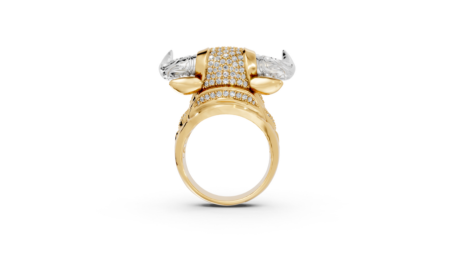 Olé - 10K Yellow/White Gold - Pocket Rock Jewelry
