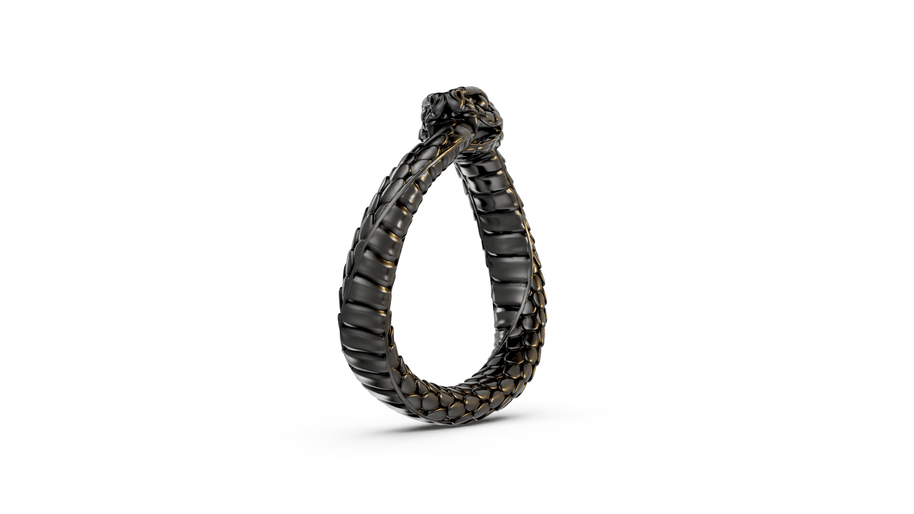 Ouroboros - Pocket Rock Jewelry