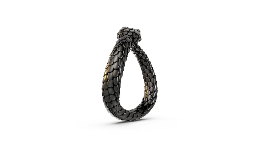 Ouroboros - Pocket Rock Jewelry