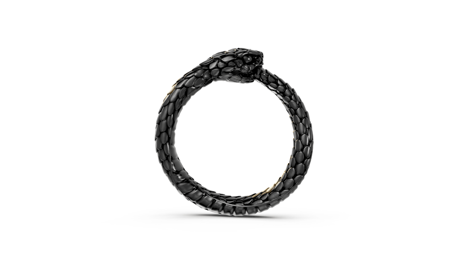 Ouroboros - Pocket Rock Jewelry