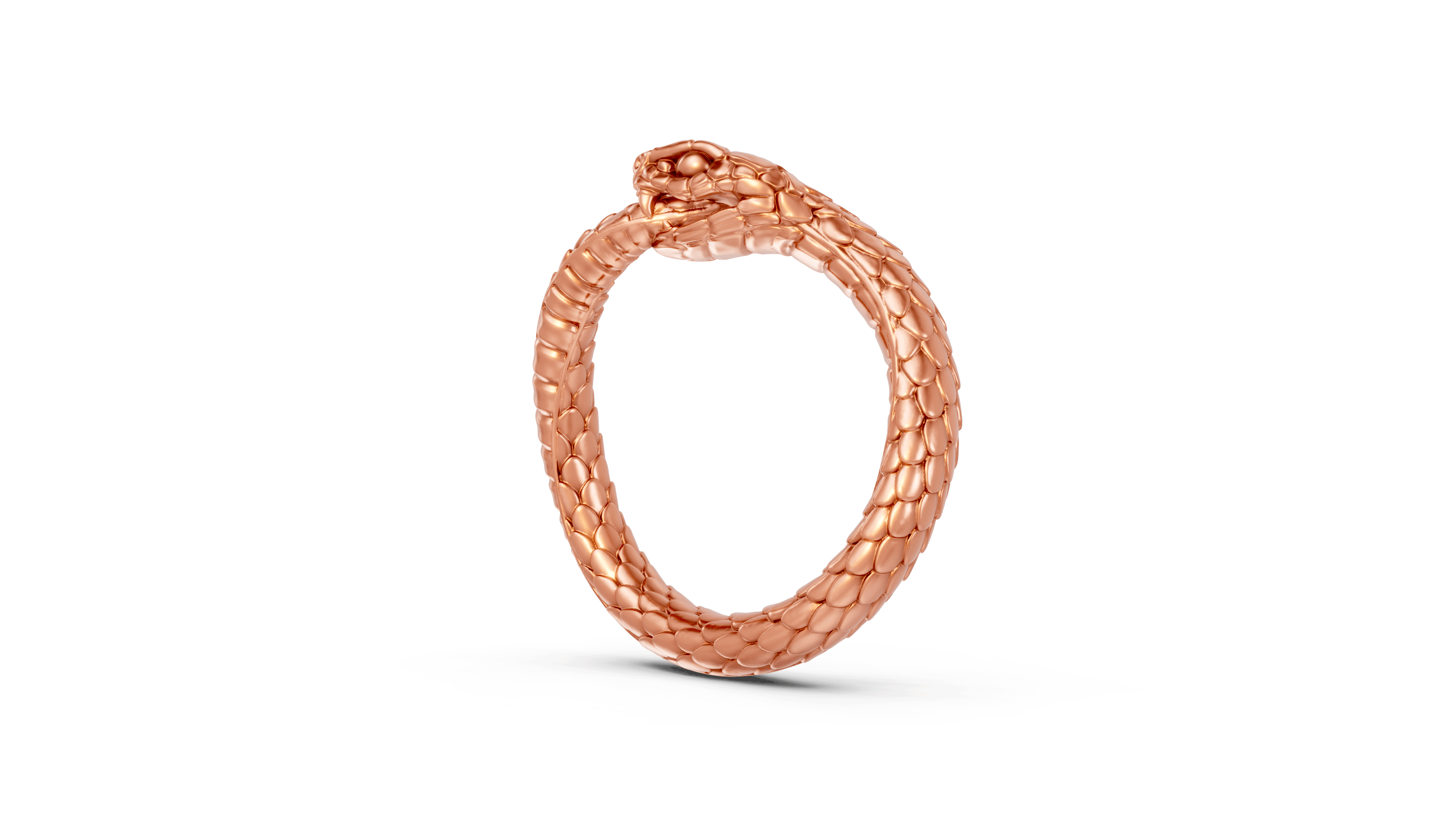 Ouroboros - Pocket Rock Jewelry
