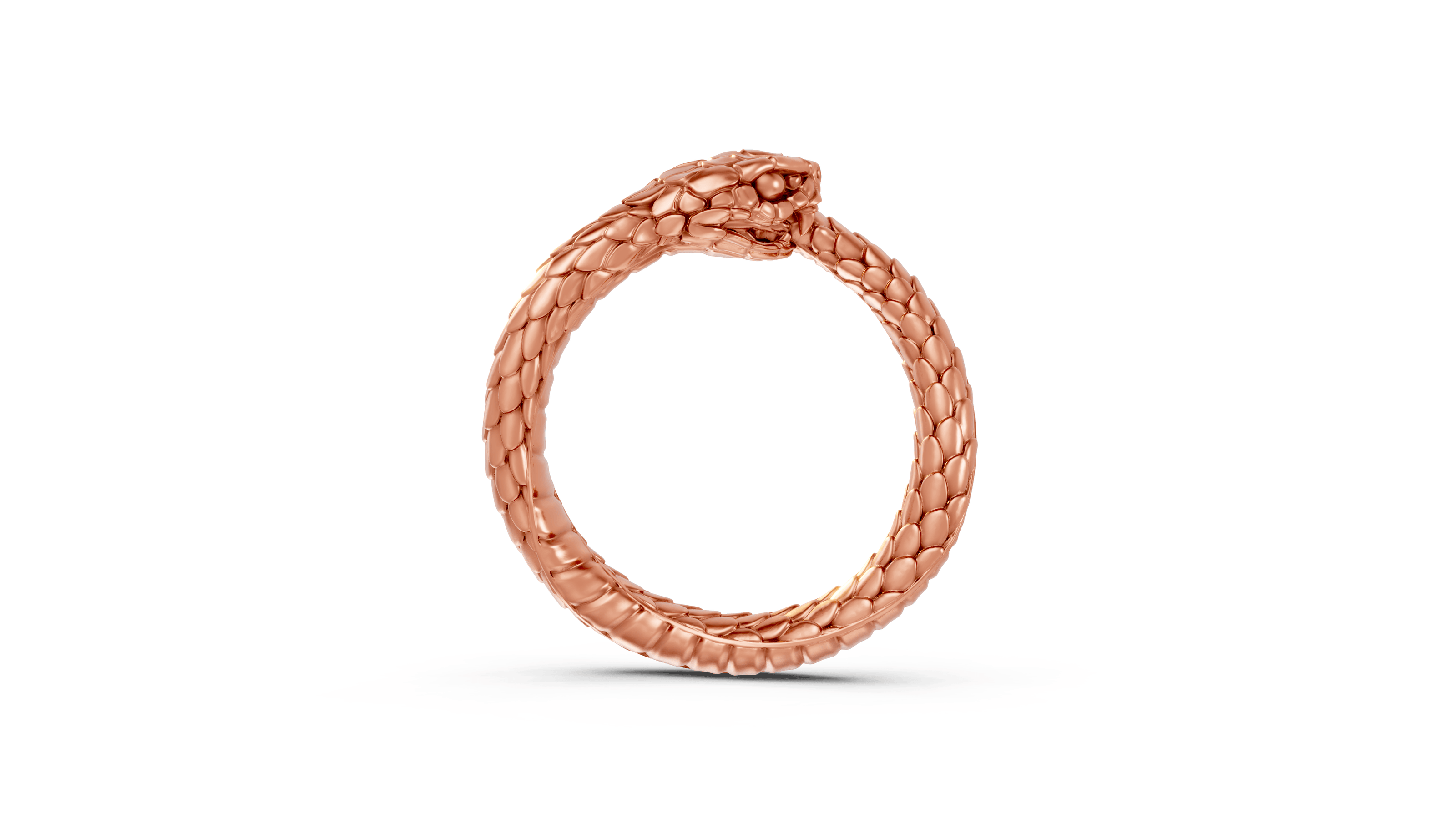 Ouroboros - Pocket Rock Jewelry