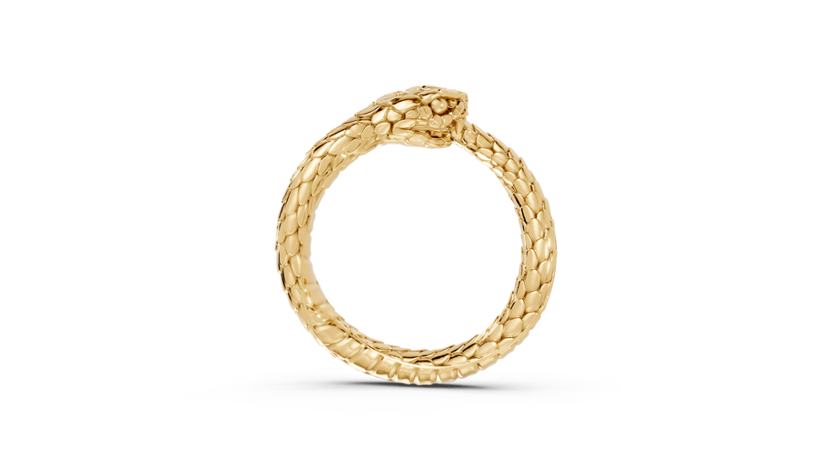Ouroboros - Pocket Rock Jewelry