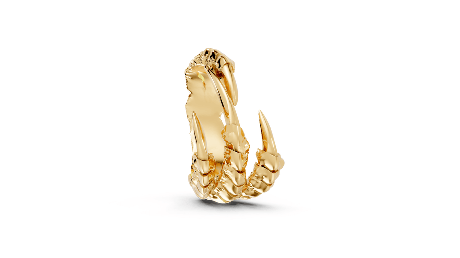 Talons - 10K Yellow Gold - Pocket Rock Jewelry