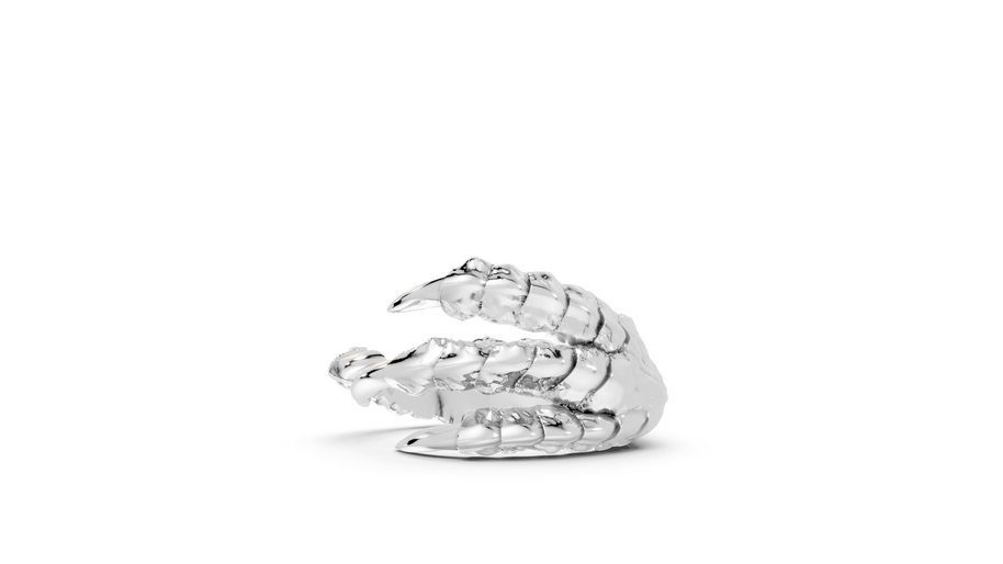 Talons - Sterling - Pocket Rock Jewelry