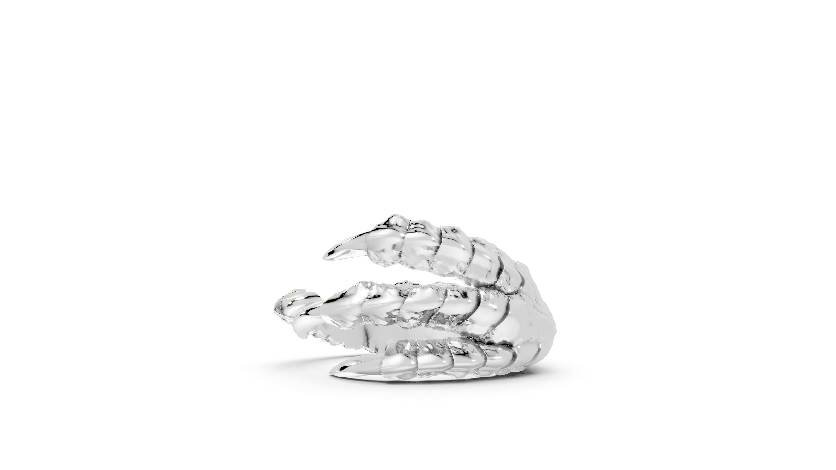 Talons - Sterling - Pocket Rock Jewelry