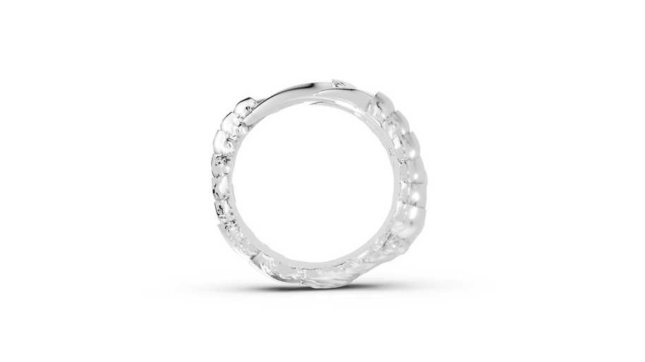Talons - Sterling - Pocket Rock Jewelry