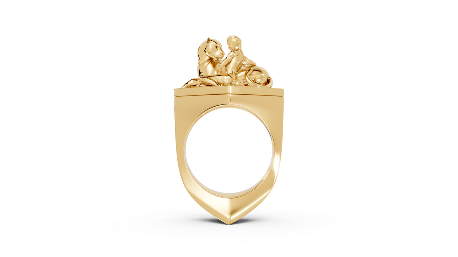 Tamed - 10K Yellow Gold - Pocket Rock Jewelry