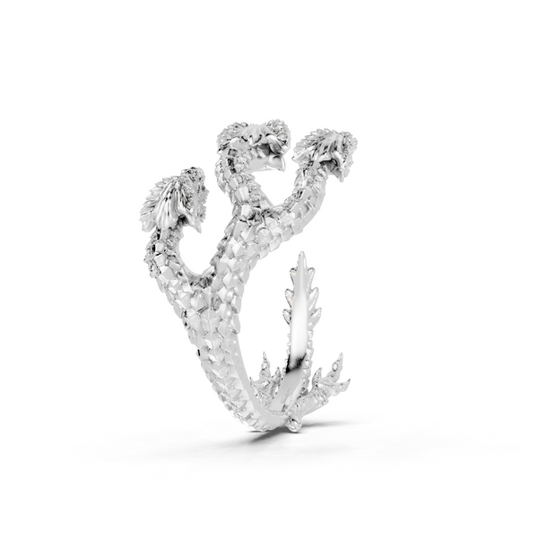 Silver ring with a unique design on a white background