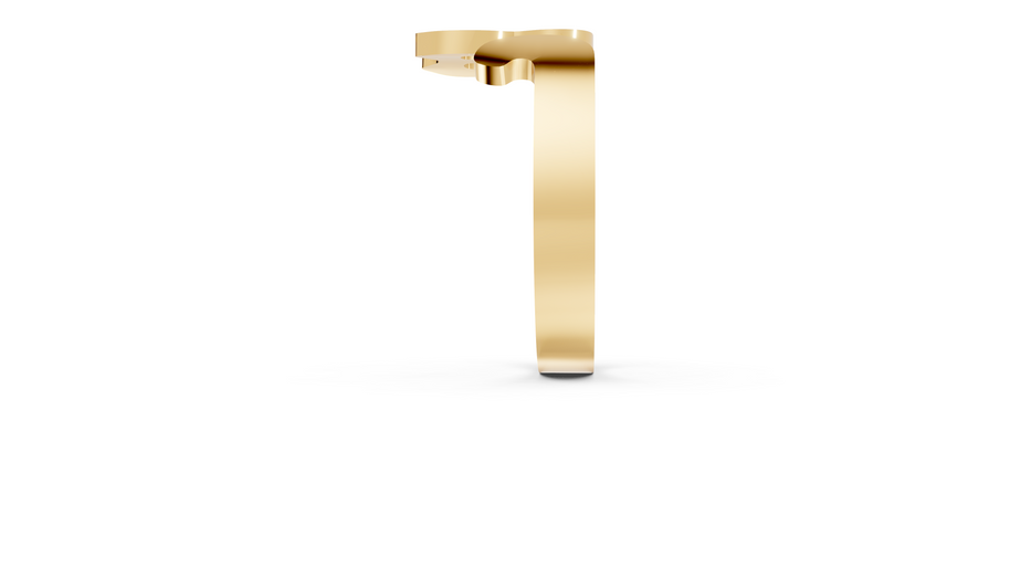 Felix - 10K Yellow Gold - Pocket Rock Jewelry