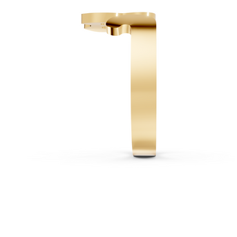 Felix - 10K Yellow Gold - Pocket Rock Jewelry