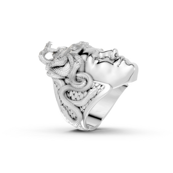 Silver ring with intricate design on a white background