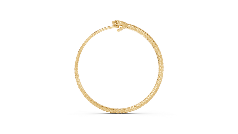 Gold hoops on a white background