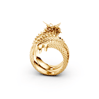 Tarragon - 10K Yellow/White Gold - Pocket Rock Jewelry