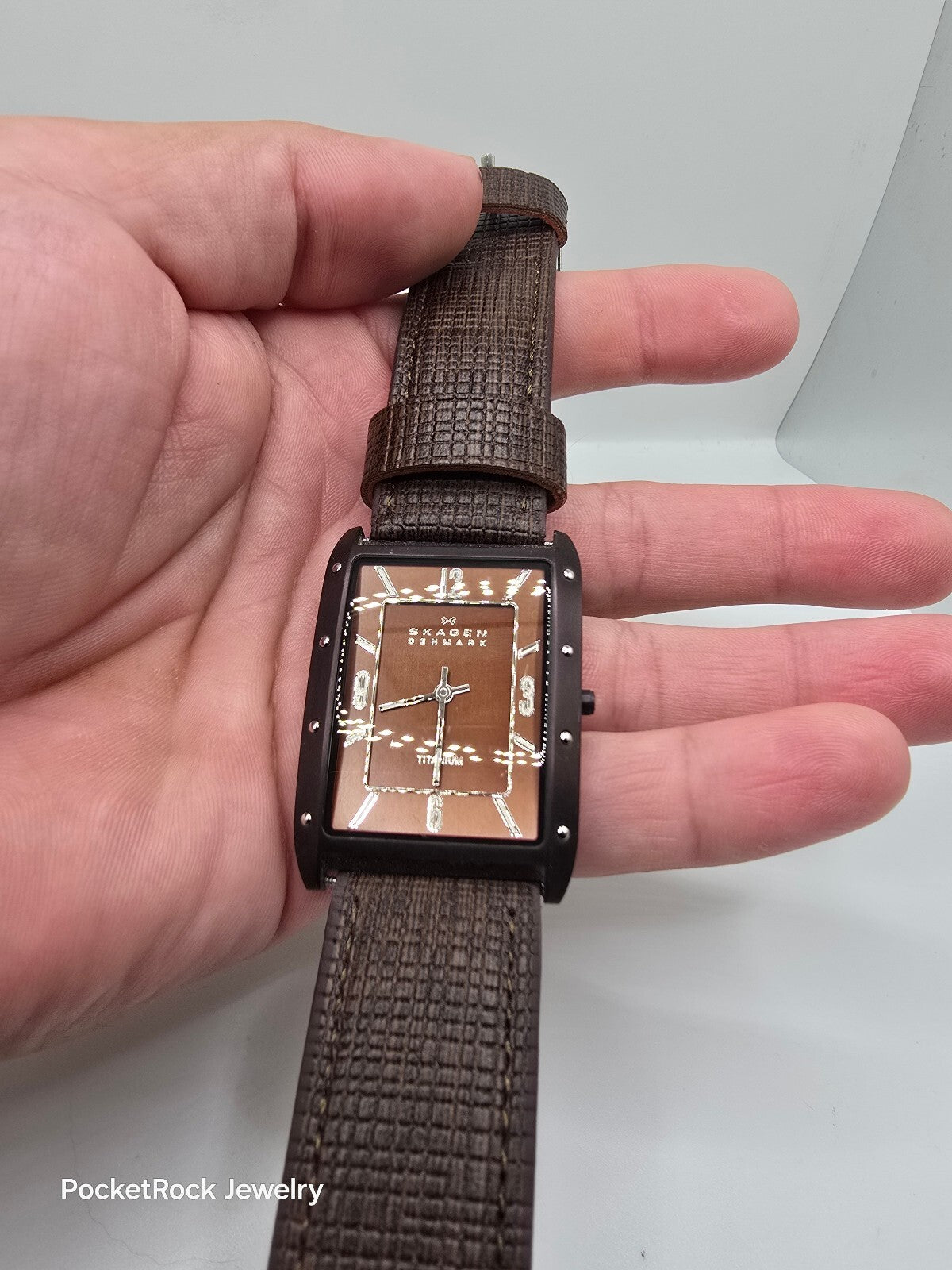 Skagen Denmark 358LTTD Men’s Rectangle Titanium Brown Dial Quartz Leather