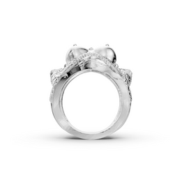 Silver ring with gemstones on a white background