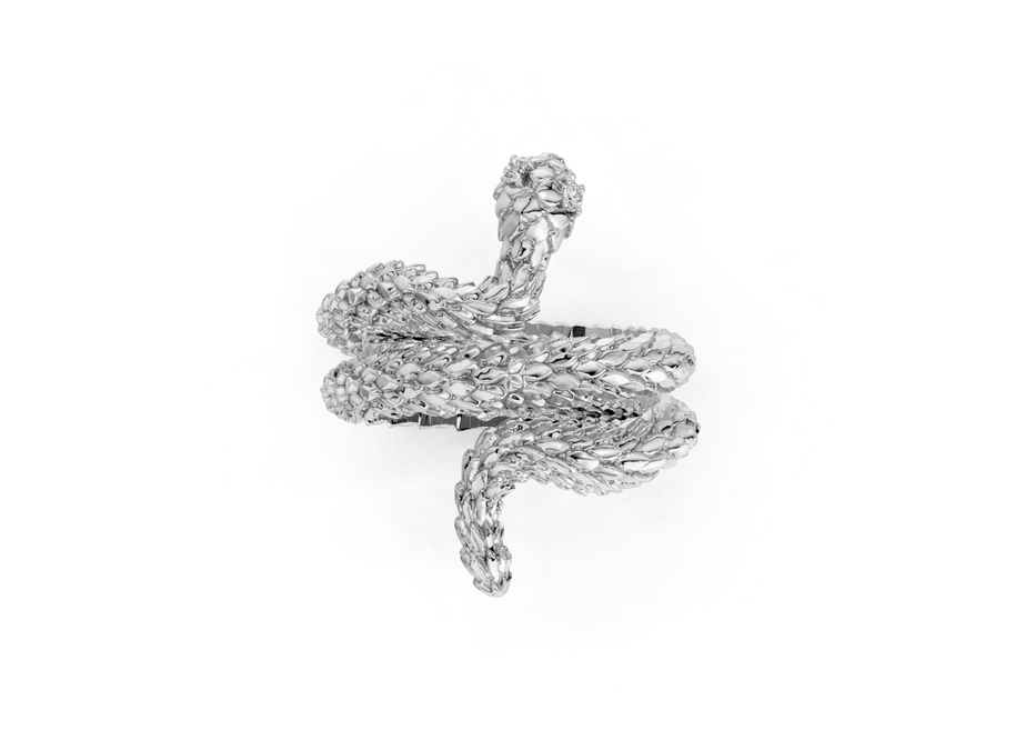 Silver snake-shaped pendant on a white background