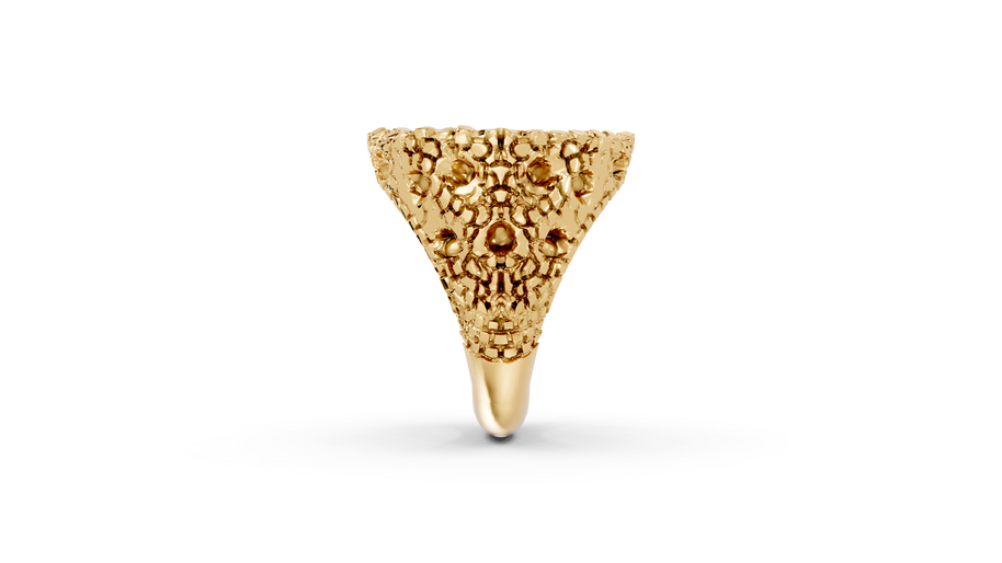 I See You - 10K Yellow Gold - Pocket Rock Jewelry
