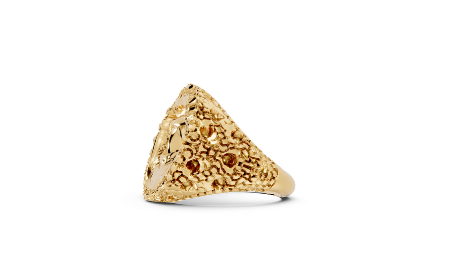 I See You - 10K Yellow Gold - Pocket Rock Jewelry