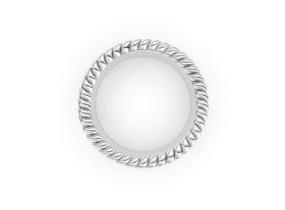Decorative silver plate with intricate border on a white background