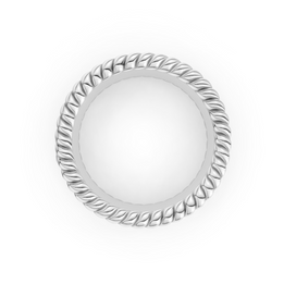 Decorative silver plate with intricate border on a white background