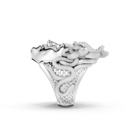 Silver ring with intricate design on a white background