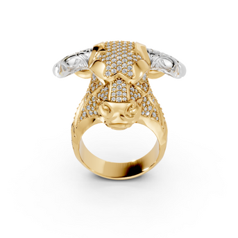 Olé - 10K Yellow/White Gold - Pocket Rock Jewelry