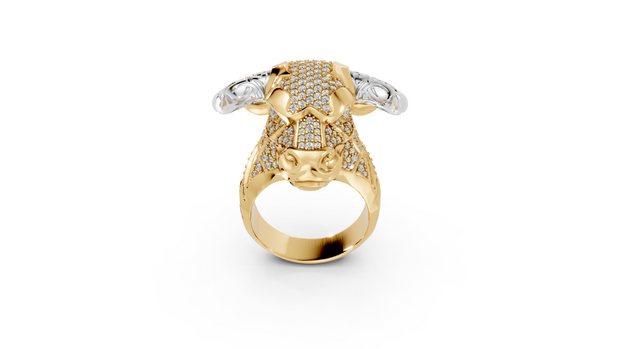 Olé - 10K Yellow/White Gold - Pocket Rock Jewelry