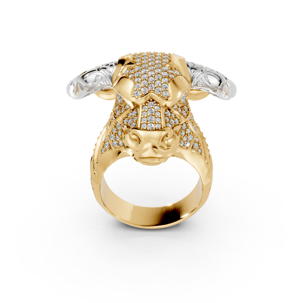 Olé - 10K Yellow/White Gold - Pocket Rock Jewelry