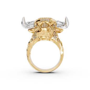 Olé - 10K Yellow/White Gold - Pocket Rock Jewelry