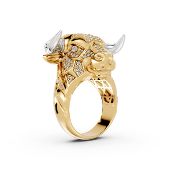 Olé - 10K Yellow/White Gold - Pocket Rock Jewelry