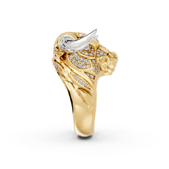 Olé - 10K Yellow/White Gold - Pocket Rock Jewelry