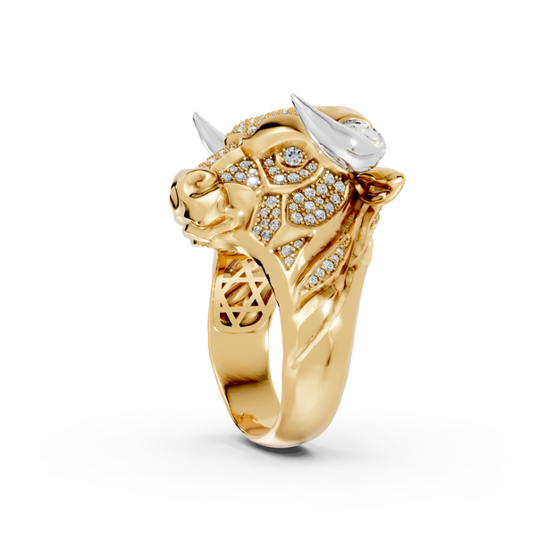 Olé - 10K Yellow/White Gold - Pocket Rock Jewelry