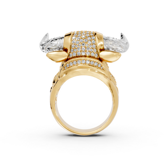 Olé - 10K Yellow/White Gold - Pocket Rock Jewelry