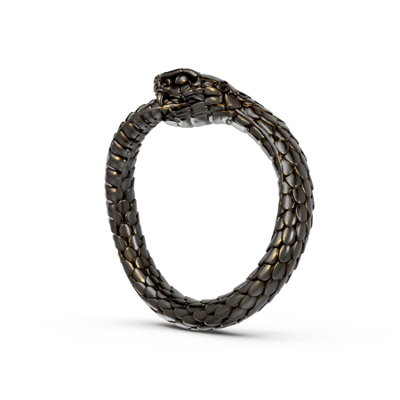 Ouroboros - Pocket Rock Jewelry