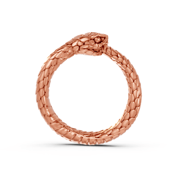Ouroboros - Pocket Rock Jewelry