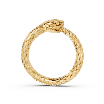 Ouroboros - Pocket Rock Jewelry