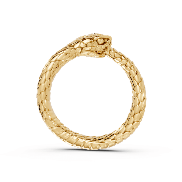Ouroboros - Pocket Rock Jewelry