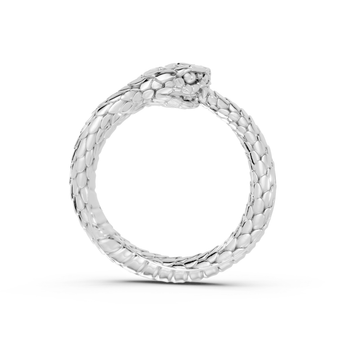 Ouroboros - Pocket Rock Jewelry