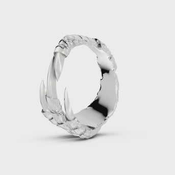 talons ring in silver turntable video