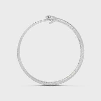Ouroboros Hoops Video