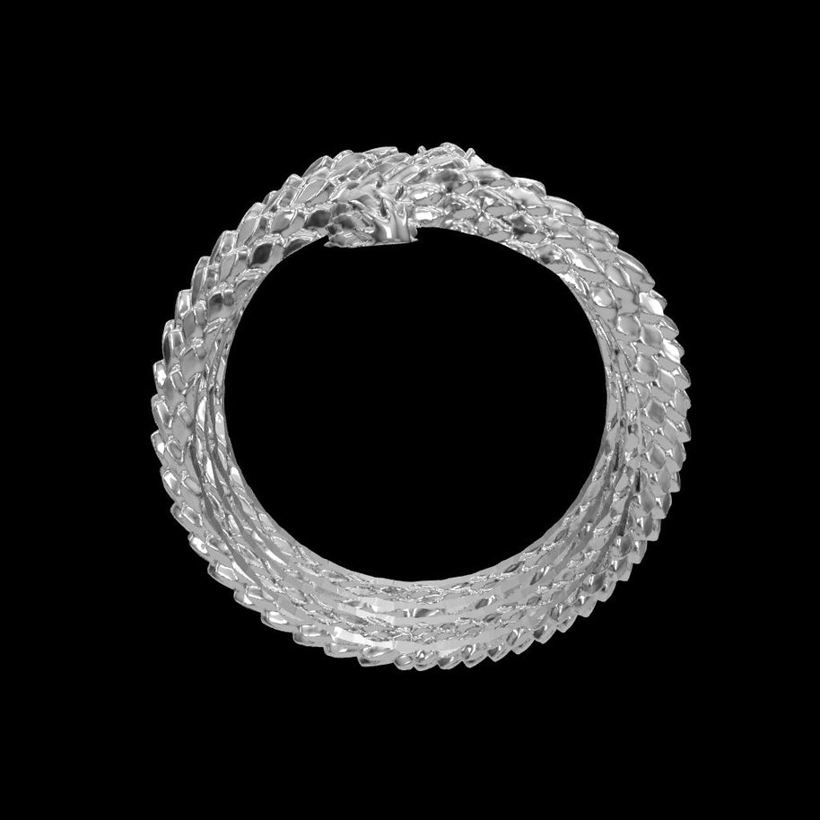 coiled snake scene